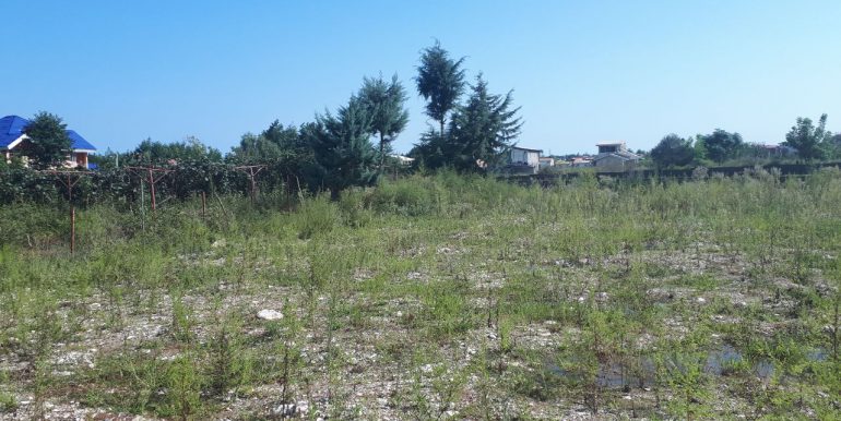 فروش زمین 1000 متری نخاله ریزی شده در مازندران (1)