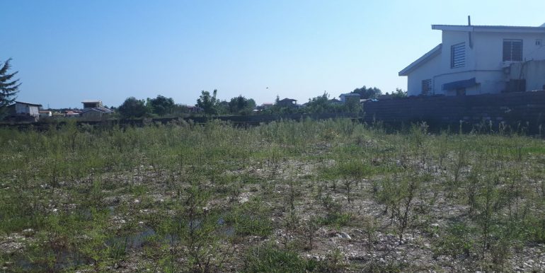 فروش زمین 1000 متری نخاله ریزی شده در مازندران (3)